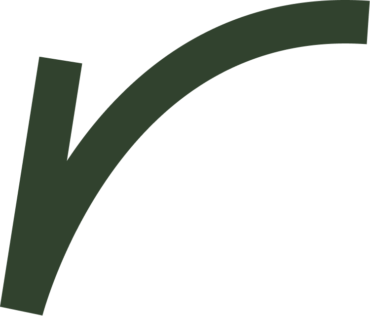 language teaching bkg