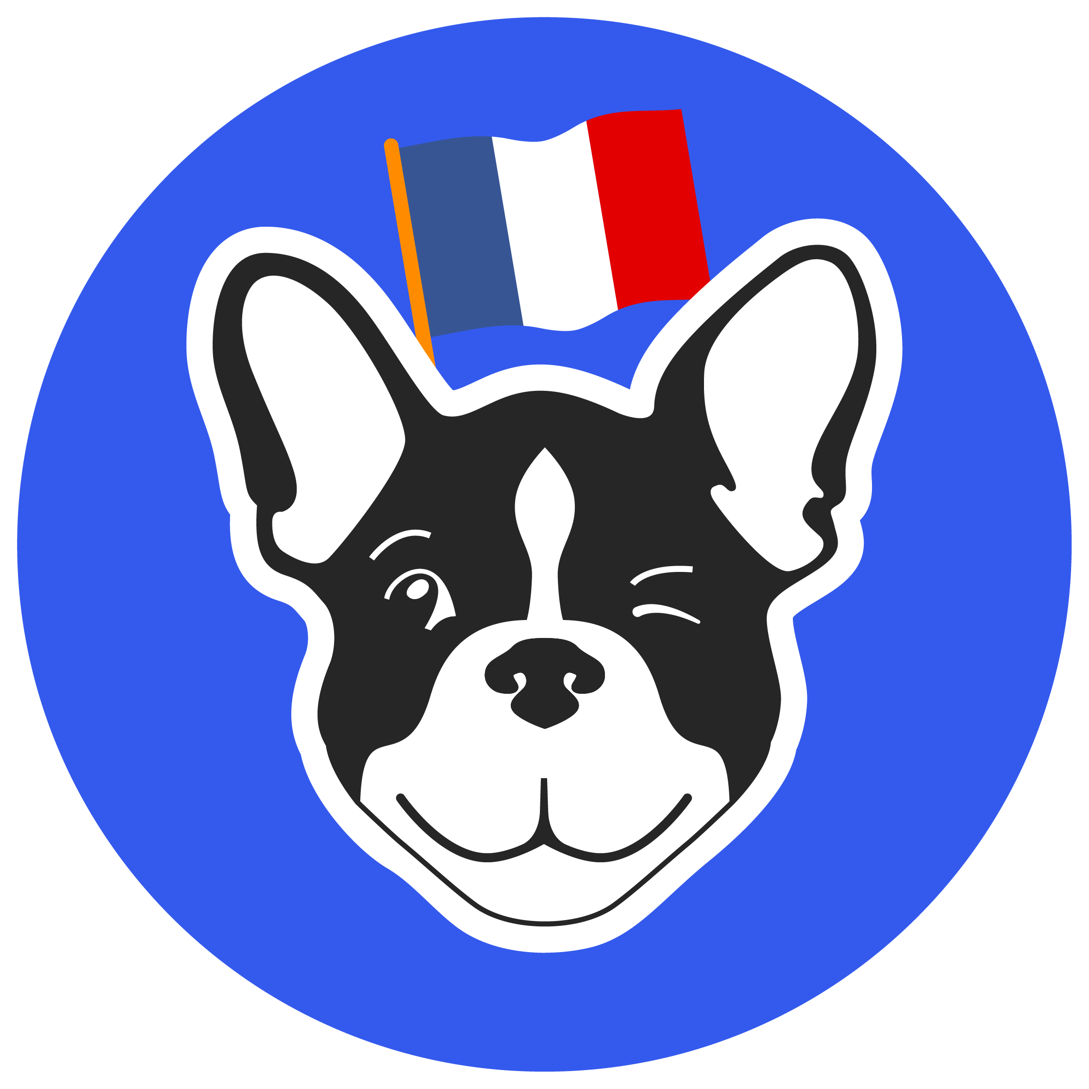 French language teaching