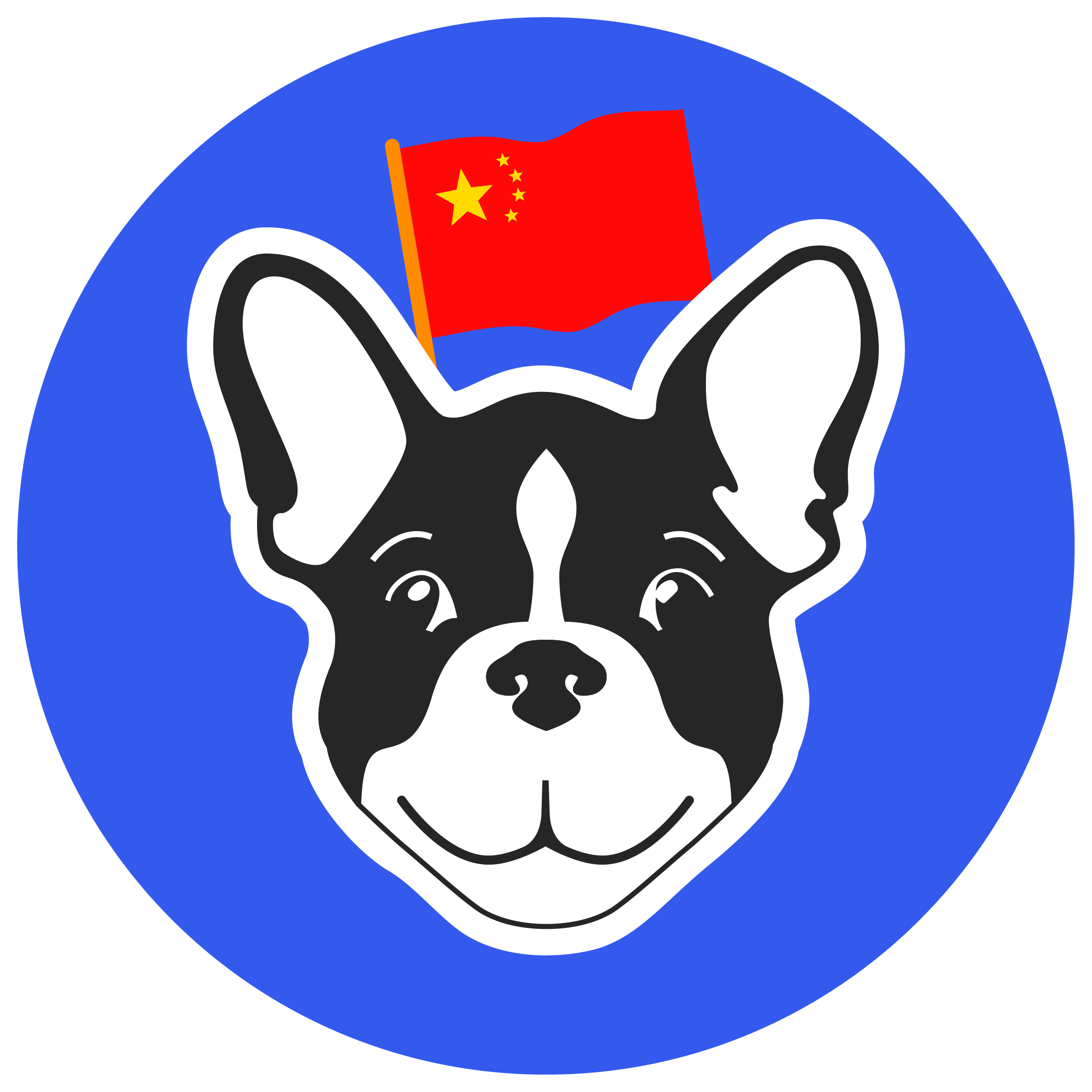 Chinese language teaching