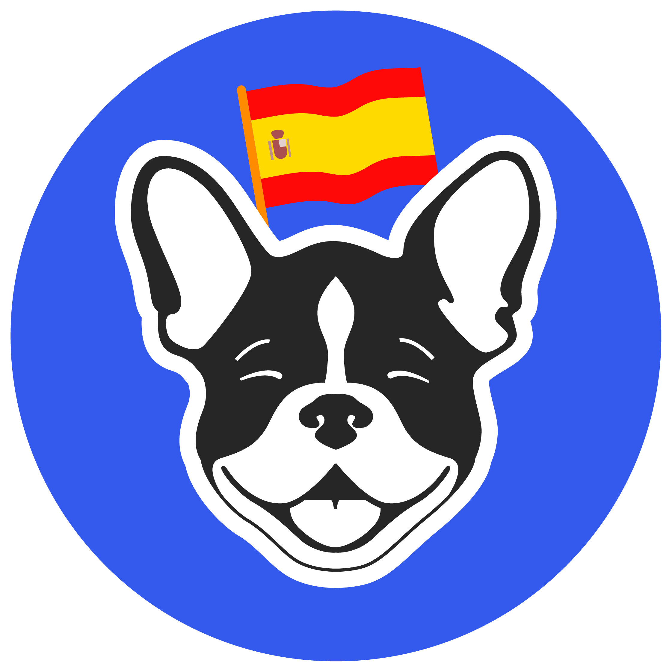 Spanish language teaching