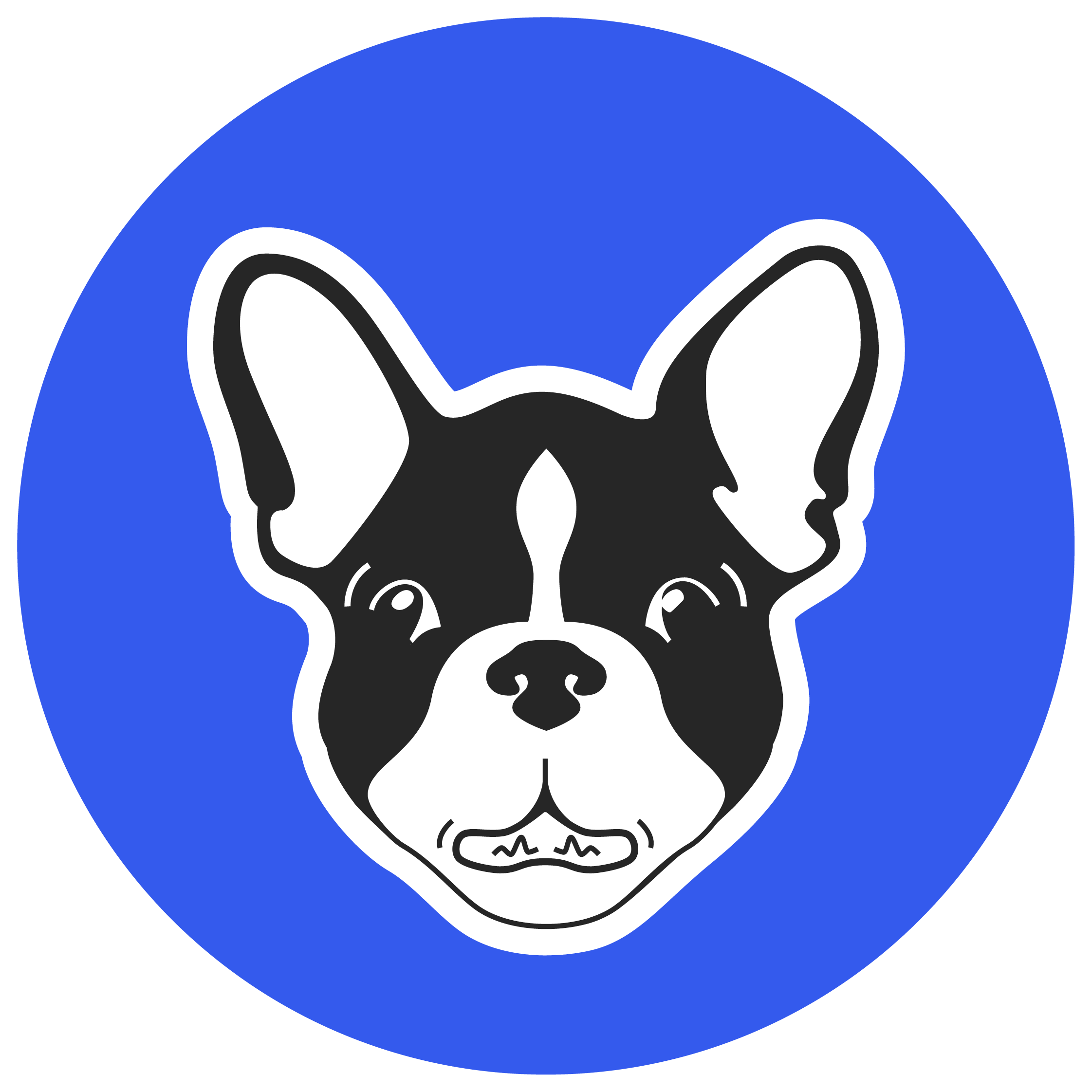 Szakdolgozat segítség